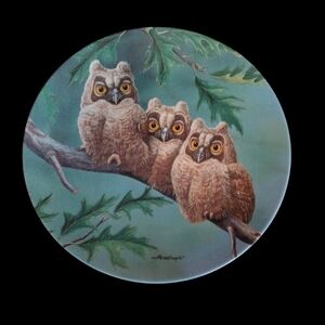 Threes Company: Long Eared Owls | Signed By Artist